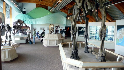 Beringa Museum Whitehorse-8