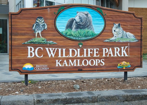 Wildlife Parks Kamloops