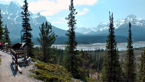 12-Icefield Parkway- Ancient Trail-2