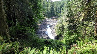 Elk Falls Campell River-1