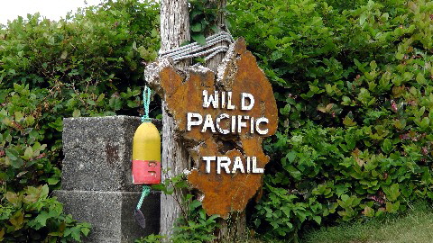 G-Ucluelet Wanderung Pacific Trail-0