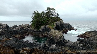G-Ucluelet Wanderung Pacific Trail-19