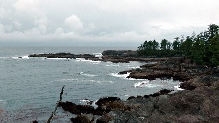 G-Ucluelet Wanderung Pacific Trail-23