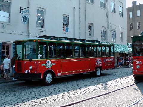 Trolleytour Savannah-2