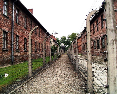 k-Auschwitz 6