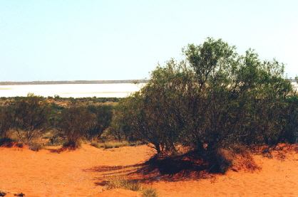 k-Australien 1996 - Ayers Rock & Outback-3