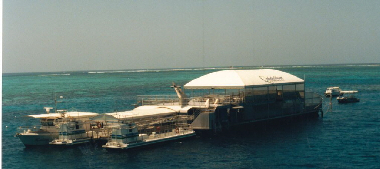 k-Australien 1996 - Cairns Ausfllug Great Barrier Reef-4