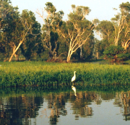 k-Australien 1996 - Darwin & Kakadu NP-13