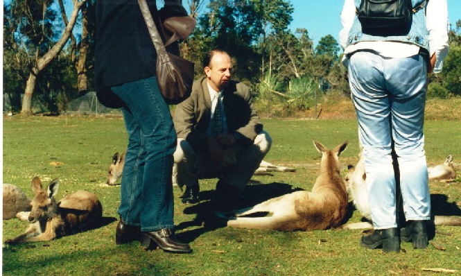 k-Australien 1996 - Tierwelt Kngeruhs-2