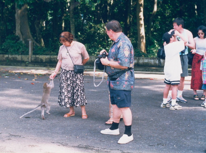 k-Bali 2000 unterwegs- Eltern mit Affen