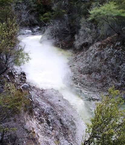 k-NZ 2005 - Tag 10 -Wanderung zu den Thunder Creek Falls (3)