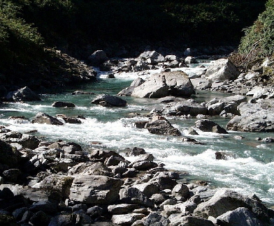 k-NZ 2005 - Tag 10 -Wanderung zu den Thunder Creek Falls (4)