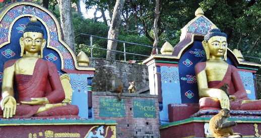k-Nepal - Affentempel Buddhas