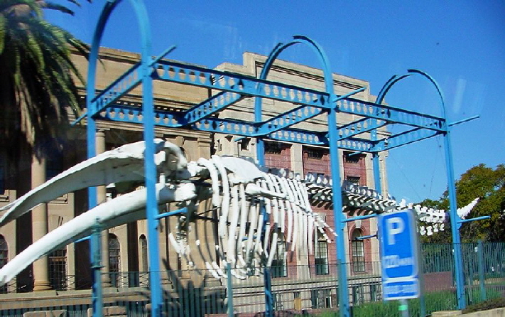 k-Sdafrika 2004 - Pretoria Stadtrundfahrt (8)