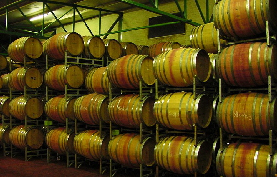 k-Sdafrika 2004 - Weinregion Weinprobe (3)