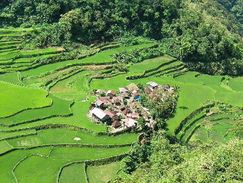 k-TAG 4 Wanderung ins Ifugao Dorf (13)