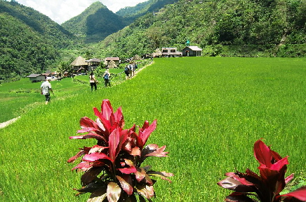 k-Tag 4 Wanderung ins Ifugao Dorf-3 (3)