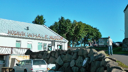 k-Tag 5 - Husavik Wal Museum-1