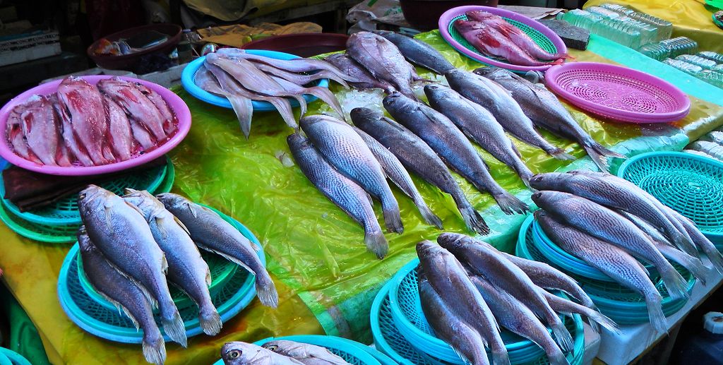 k-Busan - Fischmarkt 1-1