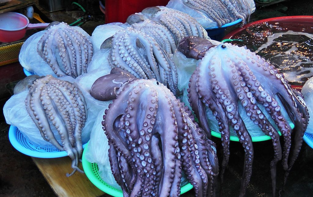 k-Busan - Fischmarkt 1-3