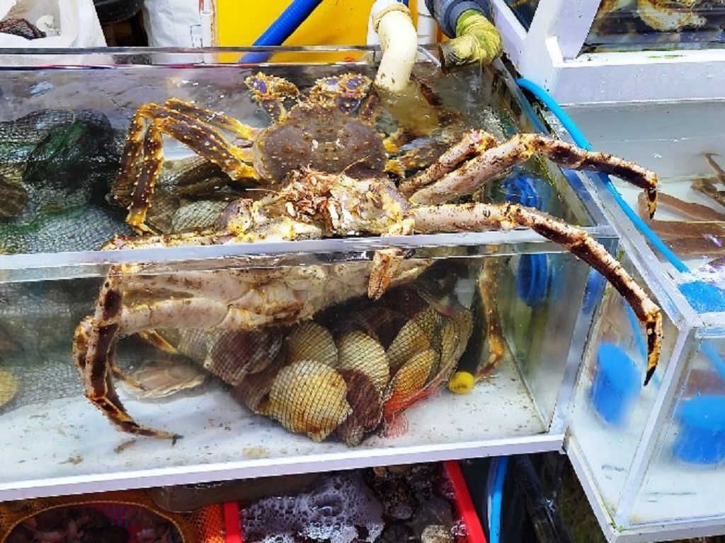 k-Busan - Fischmarkt 2