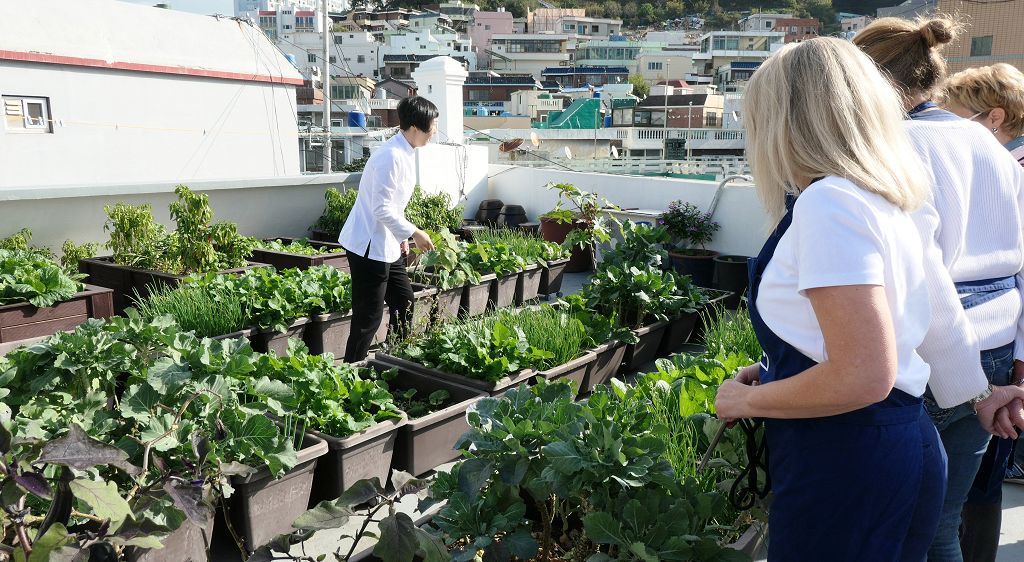 k-Busan - Kochkurs 3