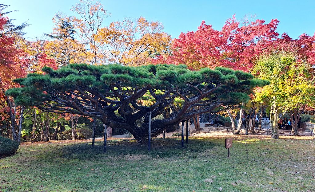 k-Gyeongju - Besuch Bulguska Tempel und Parkanlage -1