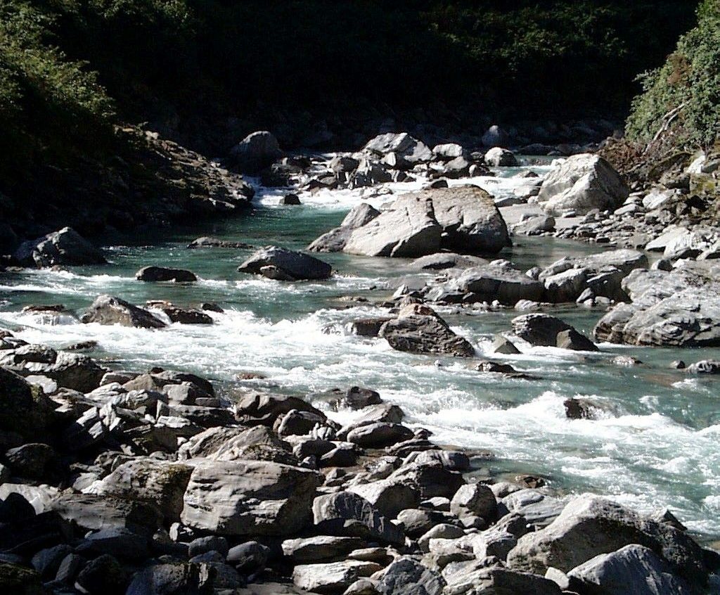 k-NZ 2005 - Tag 10 -Wanderung zu den Thunder Creek Falls (4)