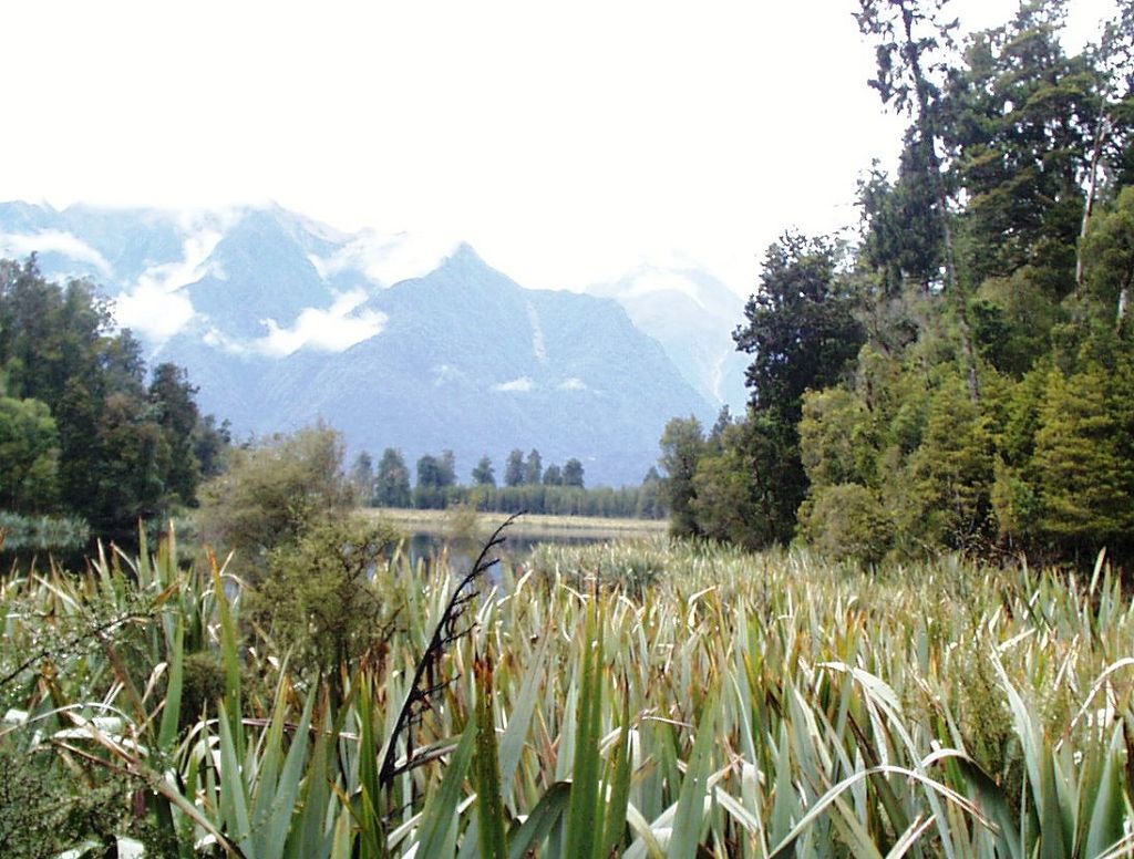 k-NZ 2005 - Tag 11 -Lake Mattheson (4)