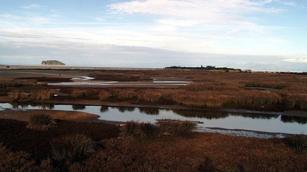k-NZ 2005 - Tag 12 -AbelTasman NP (3)
