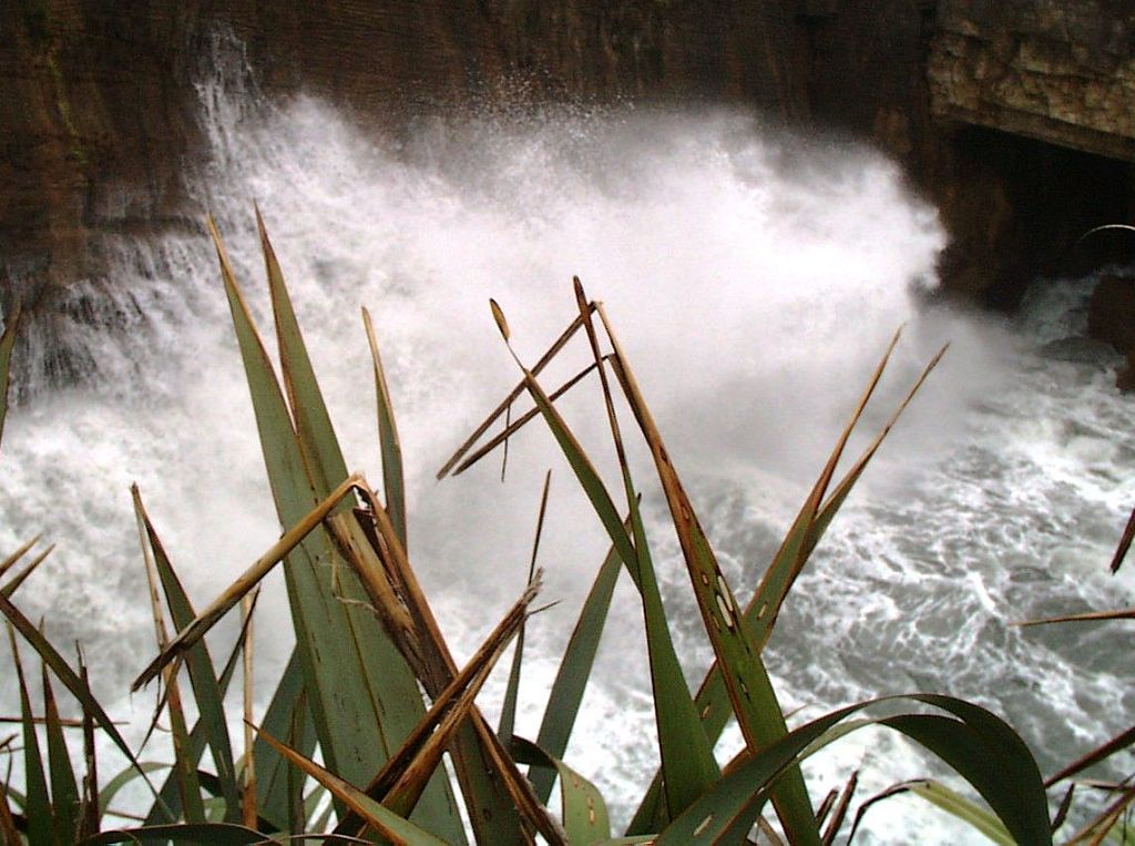 k-NZ 2005 - Tag 12 -Pancake Rocks (13)
