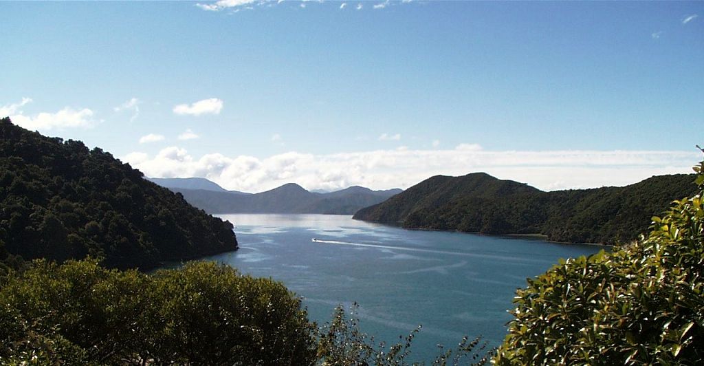 k-NZ 2005 - Tag 13 -unterwegs nach Picton (12)