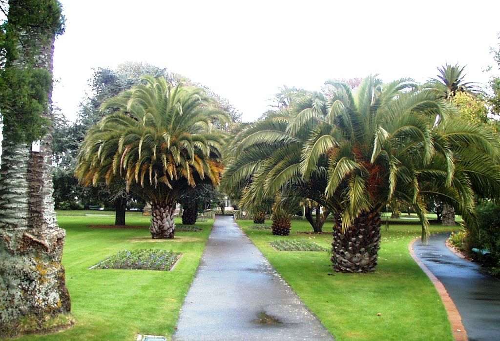 k-NZ 2005 - Tag 13 -unterwegs nach Picton (2)