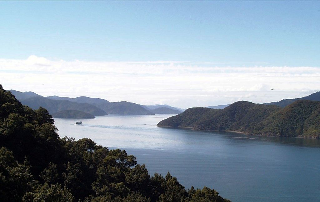 k-NZ 2005 - Tag 13 -unterwegs nach Picton (9)