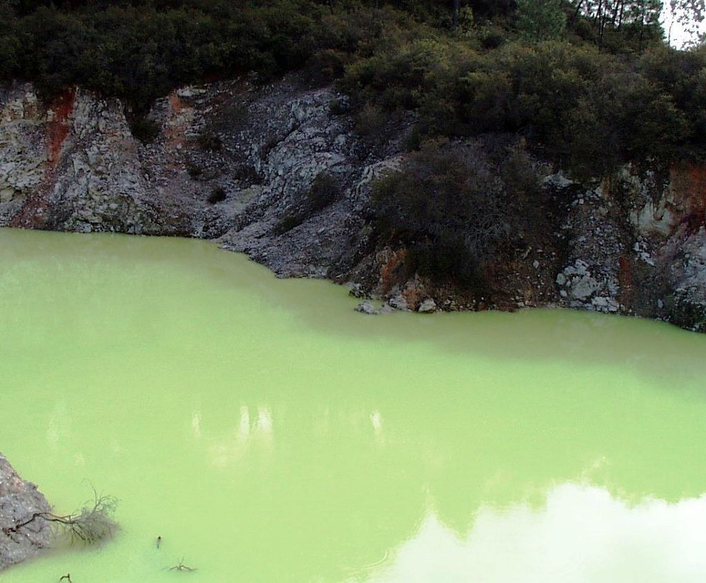 k-NZ 2005 - Tag 16 -Wei O Tapo Wonderland (6)