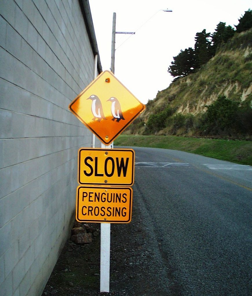 k-NZ 2005 - Tag 4 -Oamaru (1)