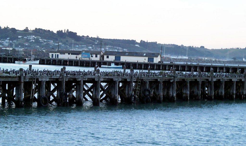 k-NZ 2005 - Tag 4 -Oamaru (2)