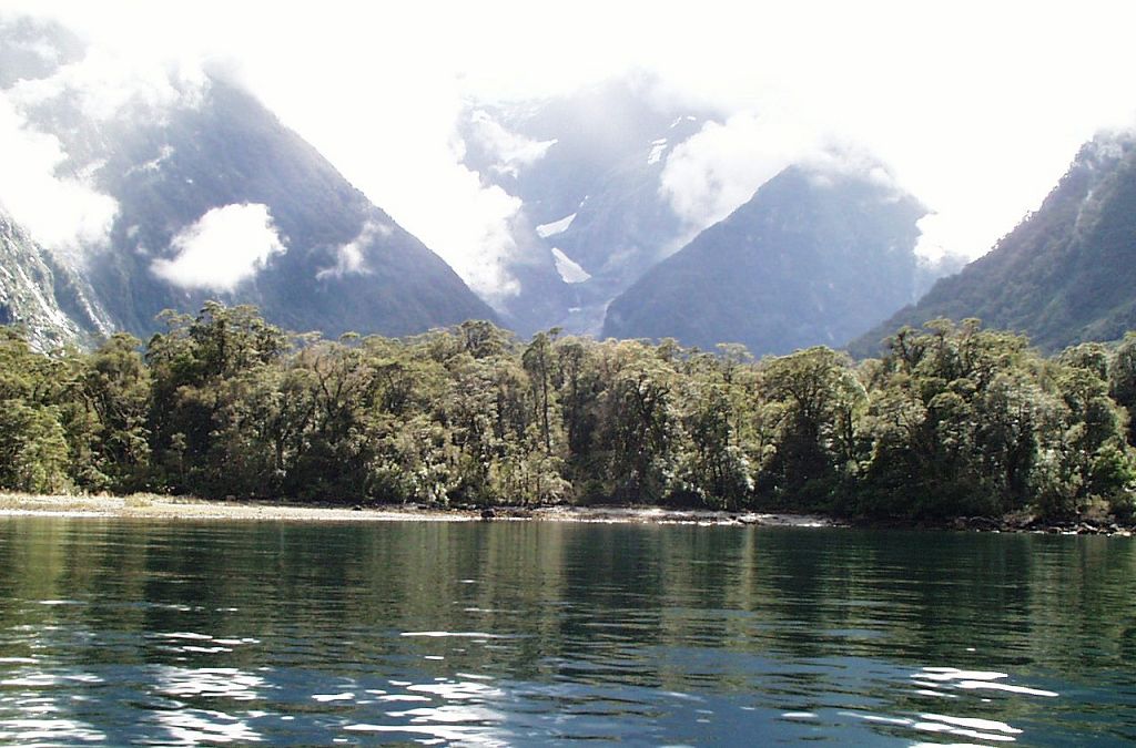k-NZ 2005 - Tag 6 -Milford Sound (19)