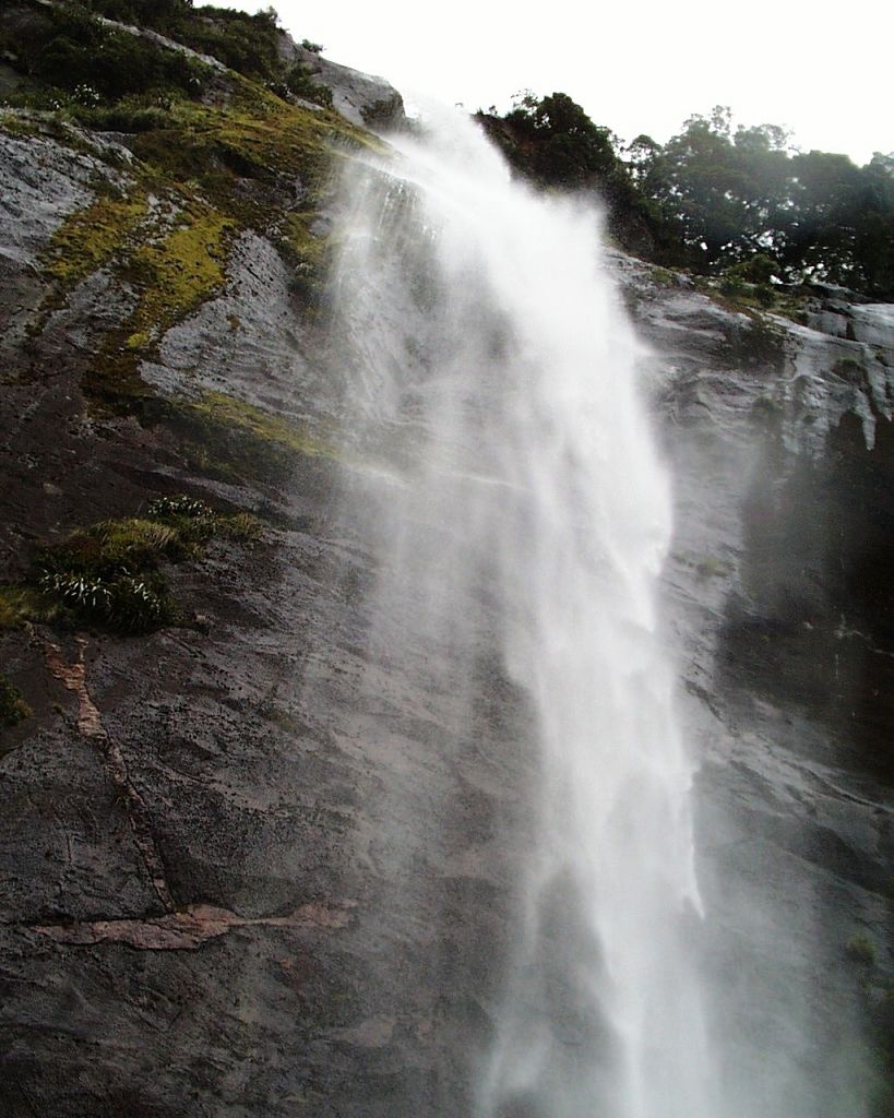 k-NZ 2005 - Tag 6 -Milford Sound (9)