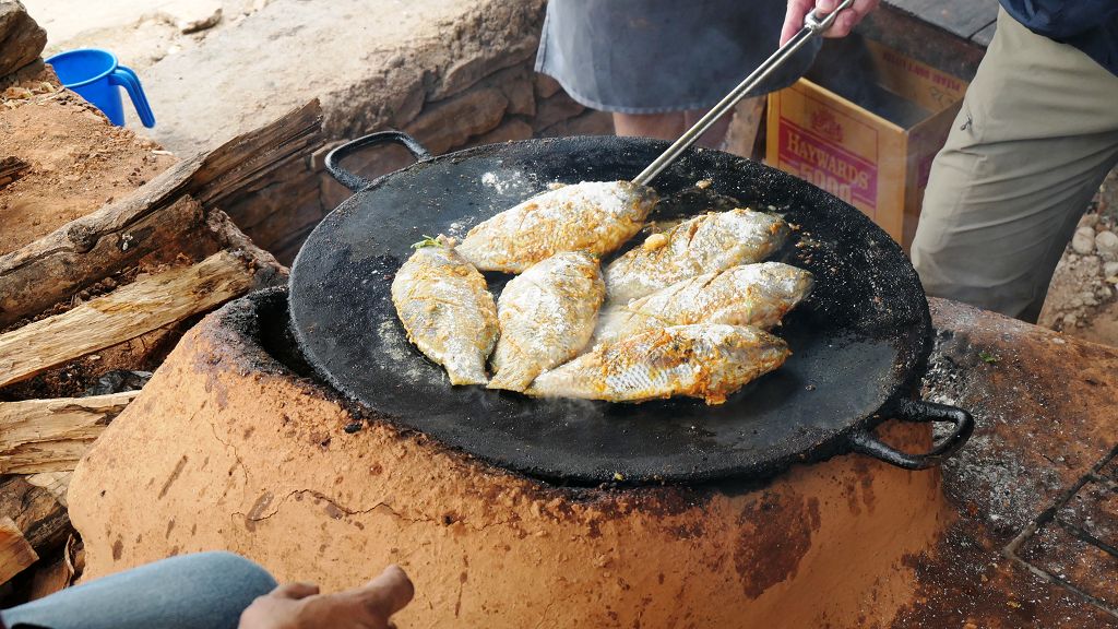 k-Nepal - Ausflug und Wanderung zum Begnassee - Mittagspause (4)