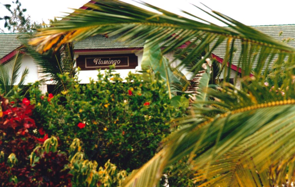 k-Palm Beach Hotel- 4