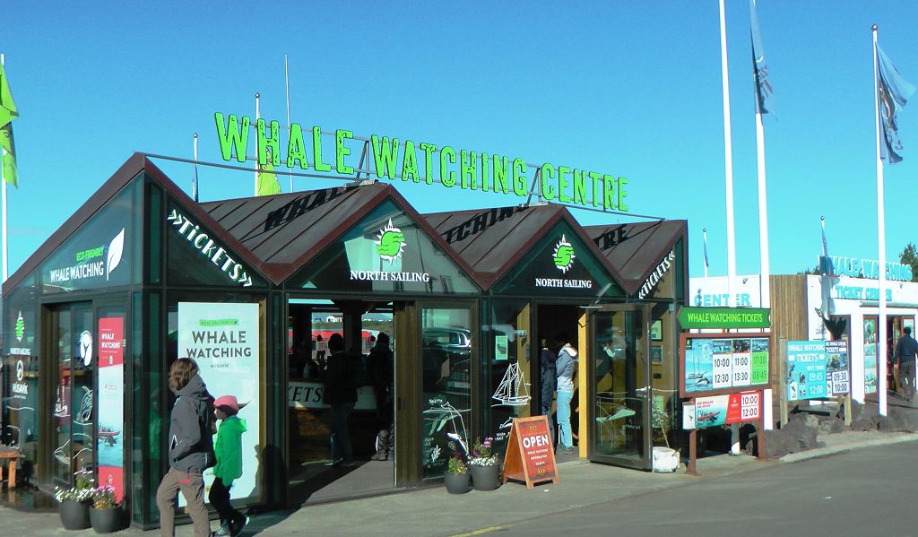 k-Tag 4 - Husavik Whale Watching Tour-1