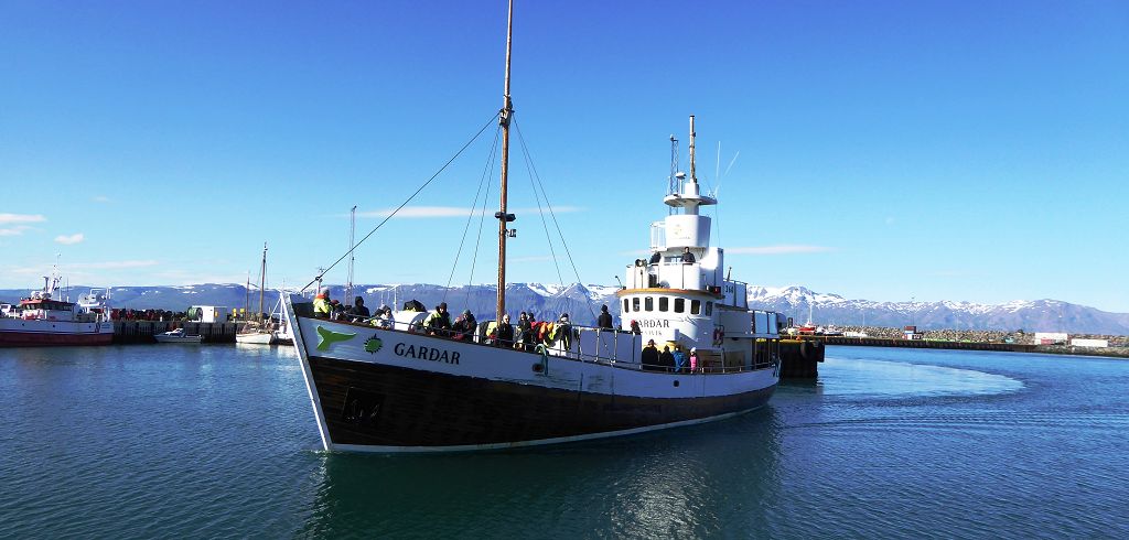 k-Tag 4 - Husavik Whale Watching Tour-16