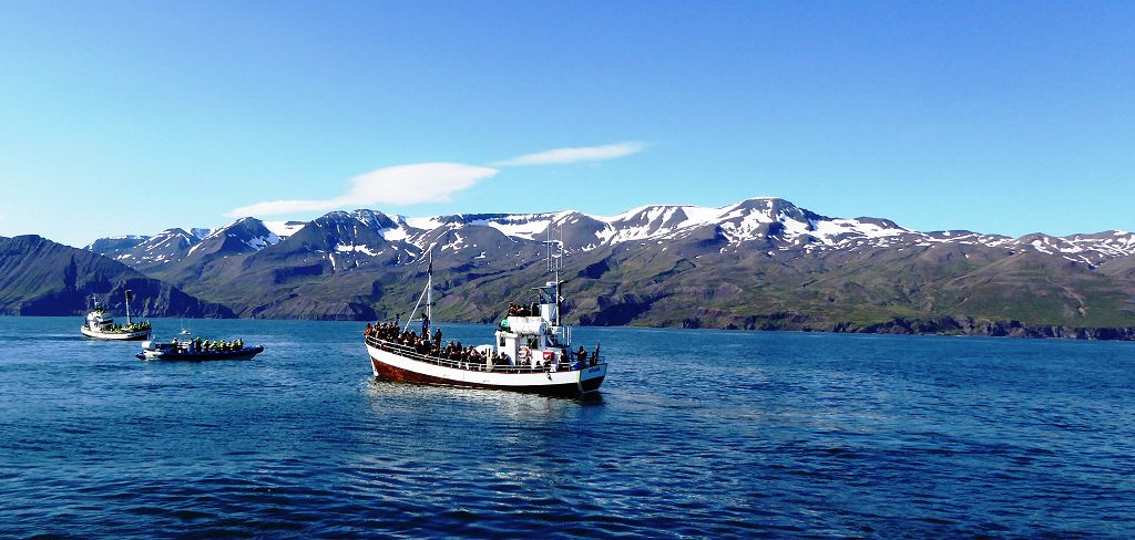 k-Tag 4 - Husavik Whale Watching Tour-25