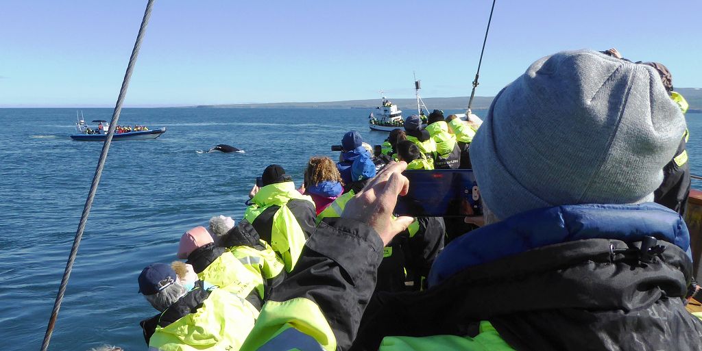 k-Tag 4 - Husavik Whale Watching Tour-34
