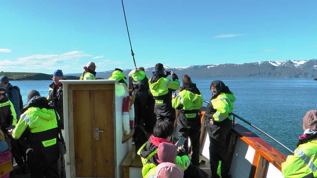 k-Tag 4 - Husavik Whale Watching Tour-6