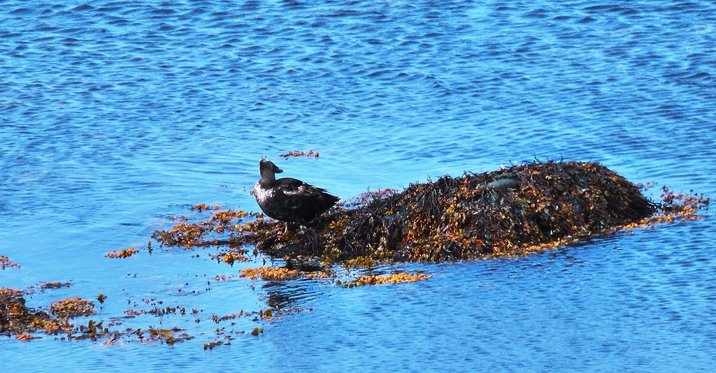 k-Tag 6 - Rckfahrt nach Porshfn-1