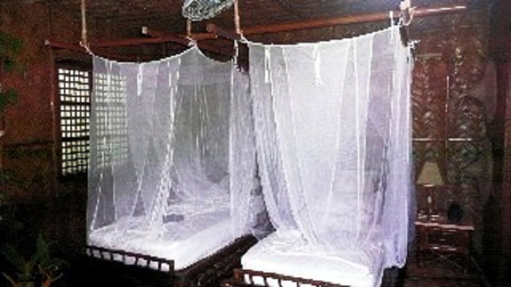 k-Tag 6 Coco Beac Island Resort Fotos (6) k-Tag 6 Coco Beac Island Resort Fotos (6)