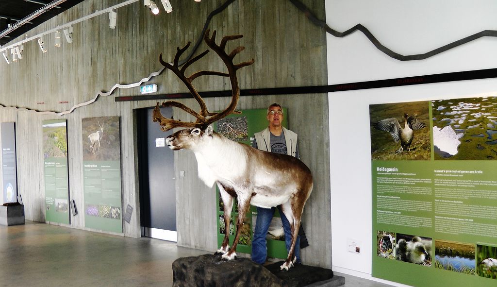 k-Tag 8 - Info Center Vatnajkuls Pjodgardur-4