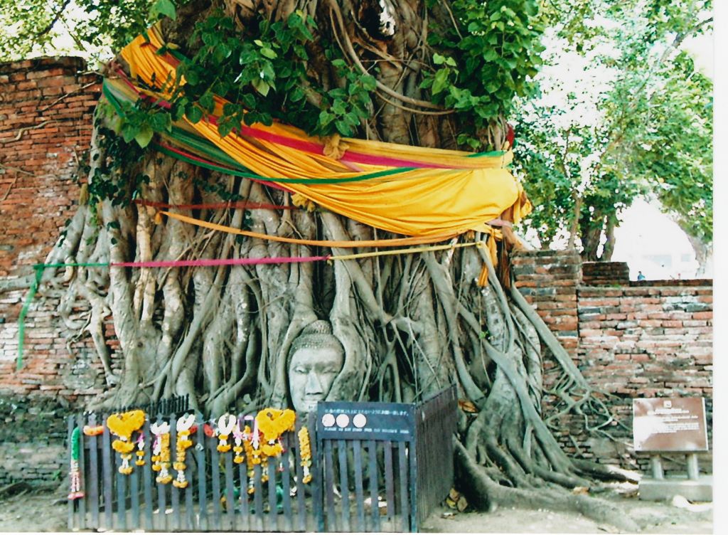 k-Thailand 2005- Ayuthaya Tempelanlagen-6